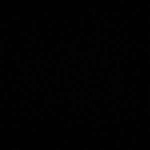 Meet your Posher, Janese